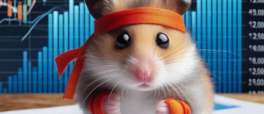 HAMSTER KOMBAT 30 HAZİRAN GÜNLÜK KOMBO KARTLAR: Hamster Kombat bugün kombo kartlar belli oldu mu?