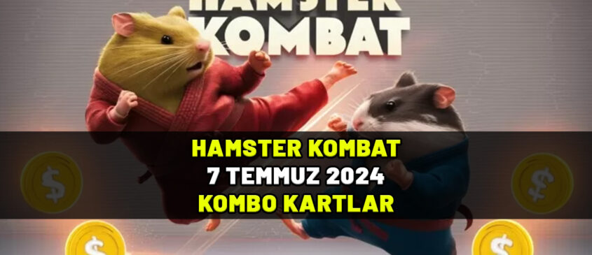 HAMSTER KOMBAT 7 TEMMUZ PAZAR KOMBO KARTLAR: Hamster Kombat 7 Temmuz günlük şifre ne oldu?